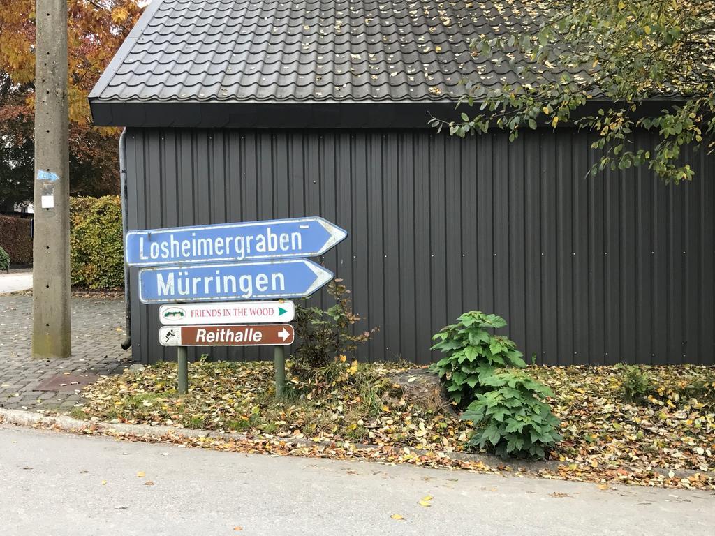 Fwv Chalet 2 Le Scandinave Büllingen Eksteriør billede