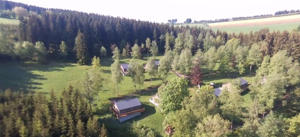 Fwv Chalet 2 Le Scandinave Büllingen Eksteriør billede