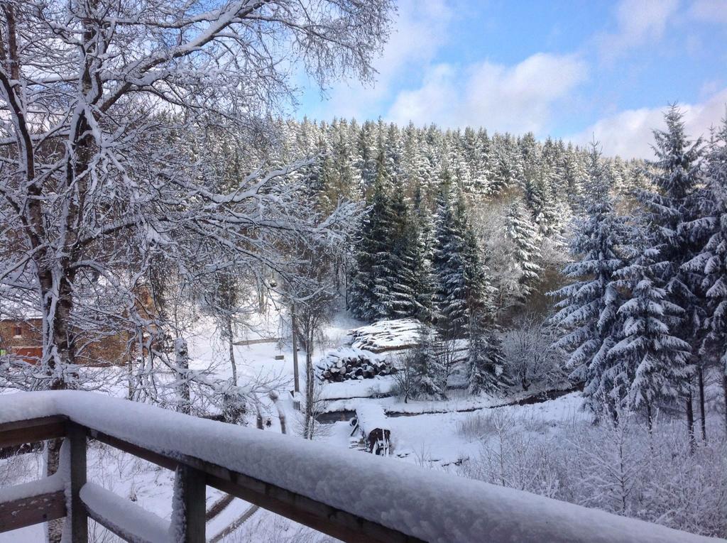 Fwv Chalet 2 Le Scandinave Büllingen Eksteriør billede