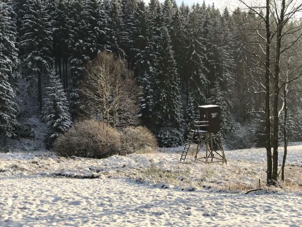 Fwv Chalet 2 Le Scandinave Büllingen Eksteriør billede